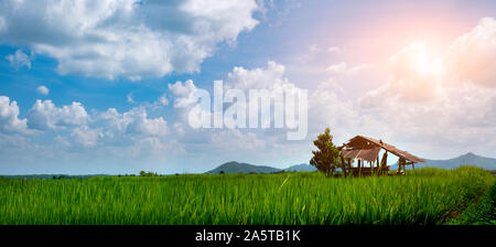 Ländliche Szene verlassenen Hütte mit grünem Reis Sämlinge in einem Reisfeld mit schönen Himmel und die Wolke die Sonne über eine Bergkette befindet. Stockfoto