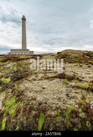 Barfleur, der Manche/Frankreich - 16. August 2019: Der Leuchtturm von Gatteville mit Felsen und Algen im Vordergrund. Stockfoto