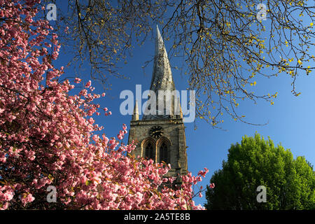 Den Schiefen Turm von St. Maria und alle Heiligen Kirche, Markt von Chesterfield, Derbyshire, England, Großbritannien Stockfoto