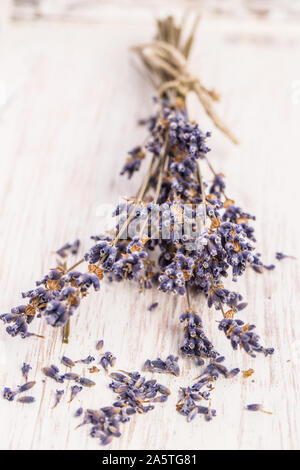 Heilende Pflanzen: Lavendel Strauß auf weißem Holz Stockfoto