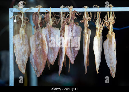 Nahaufnahme der getrockneten Tintenfisch hängen. Stockfoto