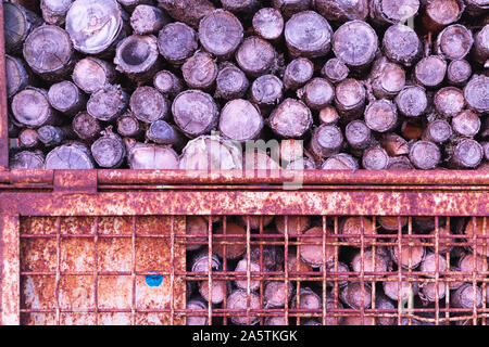 Trocken und zerkleinerte Holz in einer Metallbox Stockfoto