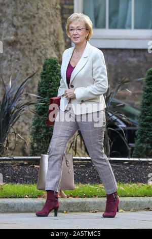 Downing Street, London, UK. 22 Okt 2019 - Staatssekretär für Energie und industrielle Strategie Andrea Leadsom kommt in Downing Street die wöchentliche Kabinettssitzung zu besuchen. Credit: Dinendra Haria/Alamy leben Nachrichten Stockfoto