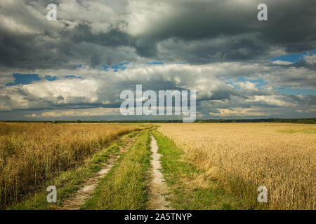 Land straße durch Felder mit Getreide, Horizont und dunkle Wolken am Himmel Stockfoto