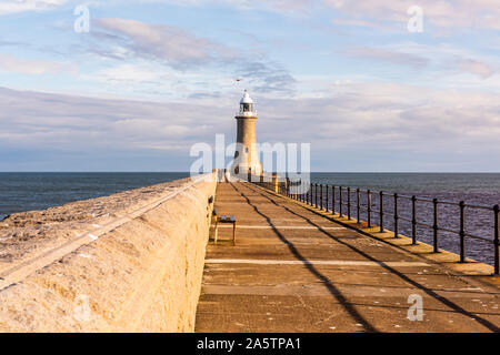 Löwen in Afrika Stockfoto