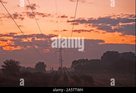 Sonnenaufgang an der Landschaft. Orange und lila Wolken über junge Bäume in der Linie. Hohe Spannung Turm und die Kabel in der Mitte des Bildes. Stockfoto