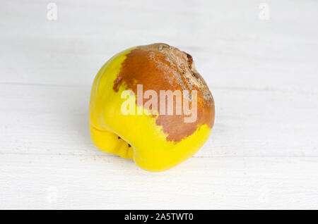 Faules Obst Quitte auf weißem Hintergrund. Close Up. Stockfoto