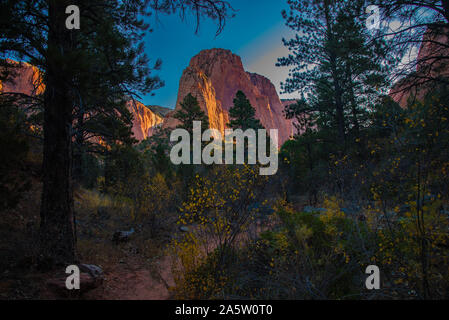 Taylor Creek Trail im Herbst. Taylor Creek ist in einem weniger bekannten Teil des Zions Nationalpark zwischen Cedar City und St. George, Utah, USA. Stockfoto