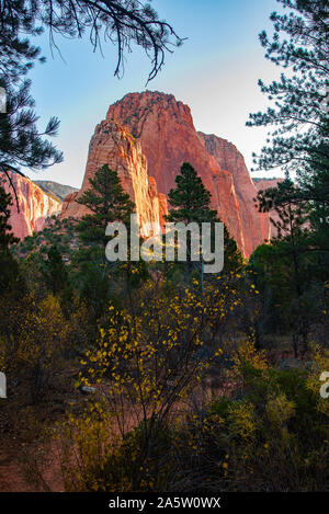 Taylor Creek Trail im Herbst. Taylor Creek ist in einem weniger bekannten Teil des Zions Nationalpark zwischen Cedar City und St. George, Utah, USA. Stockfoto