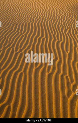 Wind sand Muster auf den Dünen der Wüste Thar, Rajasthan, Indien geblasen. Stockfoto