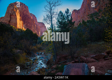 Taylor Creek Trail im Herbst. Taylor Creek ist in einem weniger bekannten Teil des Zions Nationalpark zwischen Cedar City und St. George, Utah, USA. Stockfoto