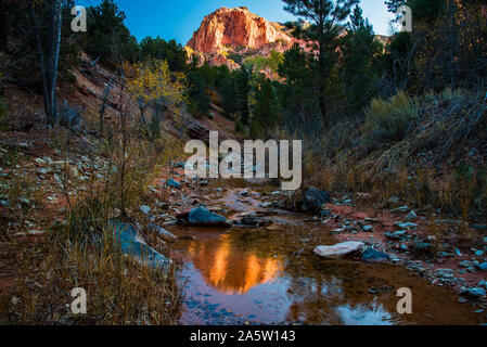 Taylor Creek Trail im Herbst. Taylor Creek ist in einem weniger bekannten Teil des Zions Nationalpark zwischen Cedar City und St. George, Utah, USA. Stockfoto