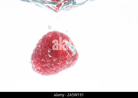 Frische Himbeeren in Wasser fallen auf weißem Hintergrund. Gesunde Ernährung Stockfoto