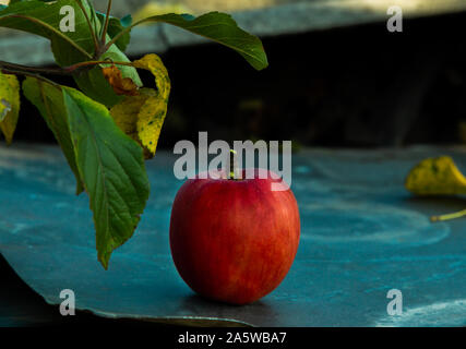 Red Apple auf eine metallische Stock. Stockfoto