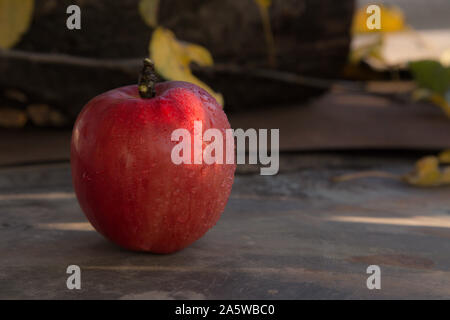 Red Apple auf eine metallische Stock. Stockfoto