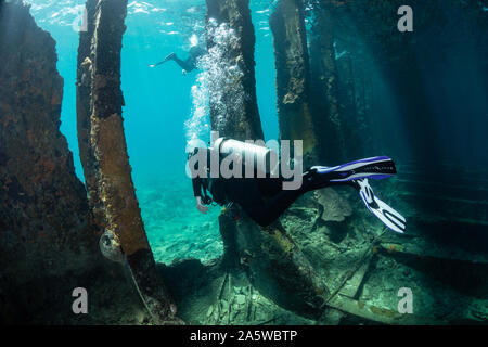 Ein Scuba Diver schwimmt durch die Rippen der Rumpf des Sapona Schiffbruch in Bimini, Bahamas. Stockfoto