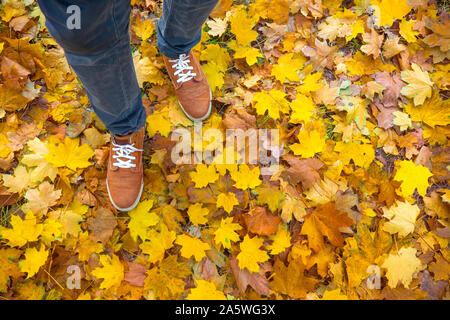 Herbst Hintergrund, Blätter, Füße und Schuhe. Konzeptionelle Bild der Füße in Turnschuhen auf gelben Blätter im Herbst. Schuhe für Spaziergänge in der Natur. Füße Turnschuhe walking auf fallen lässt. Lifestyle Mode trendy Stil Stockfoto