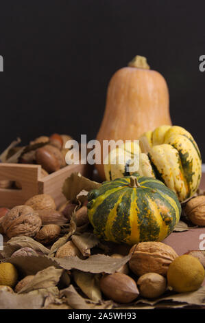 Stillleben mit Kürbisse verschiedener Sorten, Nüsse, Eicheln und einige Blätter, die im Herbst zu markieren. Alle auf dunklem Hintergrund mit dunklen Essen Stil Stockfoto