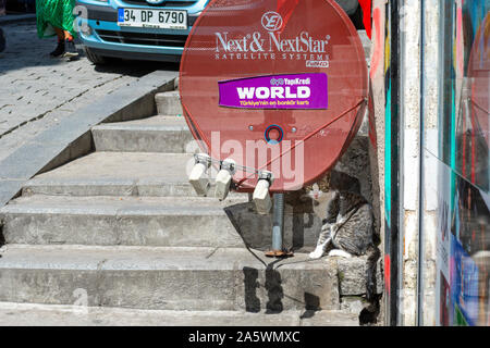 Eine streunende Katze Straße sitzt im Schatten unter einer Satellitenschüssel im Stadtteil Galata Istanbul, Türkei. Stockfoto