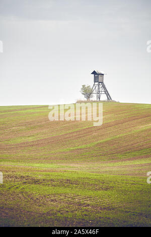 Hirsch Jagd Kanzel auf einem Feld im Herbst, Farbe Tonen angewendet, selektive konzentrieren. Stockfoto