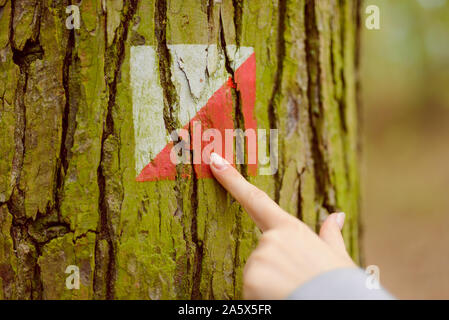 Der Finger zeigt die Kennzeichnung von Weißen und Roten Trail im Wald am Baum Stockfoto