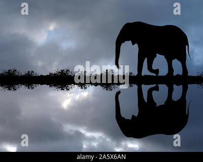 Betriebsprüfungen in Elefant spiegelt sich im Wasser bei einer Gewitterstimmung, Loxodonta africana, Stockfoto