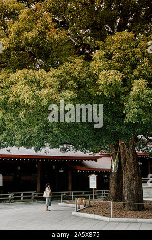 DEC 5, 2018 Tokyo, Japan - Meiji Jingu-Schrein historischen alten heiligen Baum mit Shimenawa Seil und asiatische Touristen beten für Glück - Wichtigste s Stockfoto