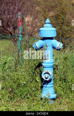 Alte teilweise Vintage hellblau Metall fire Hydrant vor gebrochenen Draht Zaun verrostete mit hohen ungeschnittenem Gras und dichten Bäumen Stockfoto