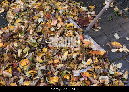 Stapel der Blätter im Herbst auf Pflastersteinen und einem Besen Stockfoto