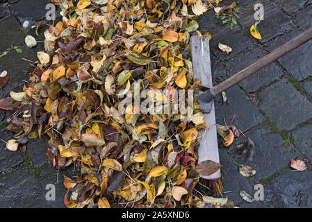 Stapel der Blätter im Herbst auf Pflastersteinen und einem Besen Stockfoto