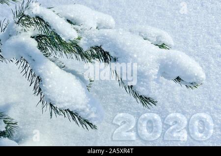 Winter, Weihnachten oder Neujahr Grußkarten oder Kalender cover Vorlage mit grünen Schneebedeckte tanne Zweig und das Datum 2020. Winter saisonales Design. Stockfoto