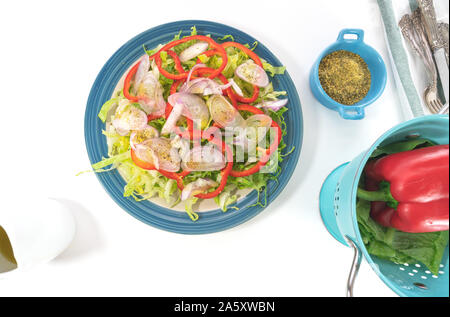 Salat auf einen Teller, auf weißem Hintergrund schliessen. Frische organische Römersalat, Paprika, Zwiebel, einige Gewürze und Olivenöl. Stockfoto