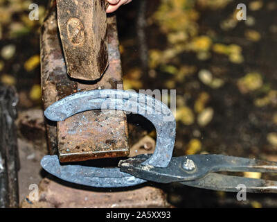 Schmied am Amboß, ein Hufeisen. Traditionelle Werkzeuge für das Handwerk in der Werkstatt. Schmied beruf Konzept. Stockfoto