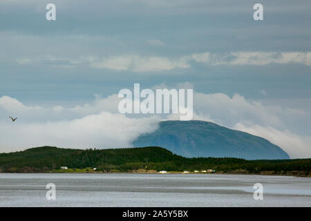 Kanada. Neufundland. Küste in der Nähe von Corner Brook Stockfoto