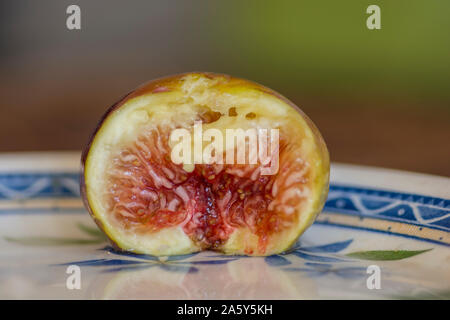 Die Hälfte eines reifen gemeinsame Abb. (Ficus Carica) Obst, in blauen und weißen Teller serviert. Stockfoto