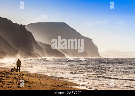 Am frühen Morgen einen Hund Walker auf Charmouth Beach in Dorset. Stockfoto