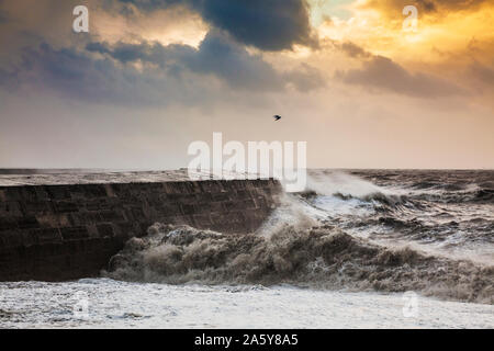 Wellen, die über dem Cobb in Lyme Regis in Dorset. Stockfoto