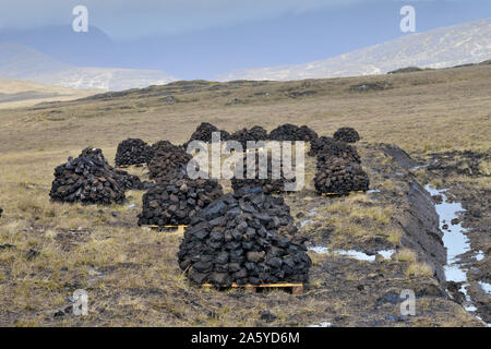 Irland Galway, 2018 - Bogland in Irland, mit Stapeln von Rasen trocknen unter der Sonne und im Winter Füle. Stockfoto