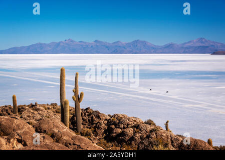 Kakteen in Insel Incahuasi, SUV Autos in den Salar de Uyuni Salzsee im Hintergrund, Potosi, Bolivien Stockfoto