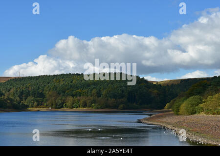 Ogden Behälter im Herbst, Halifax Stockfoto