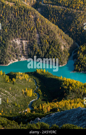 Schweizer Nationalpark im schönen Herbst Farben Stockfoto