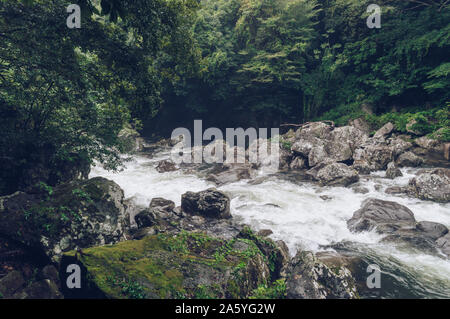 Schöne mountain river torrent innerhalb der grünen Wald Stockfoto