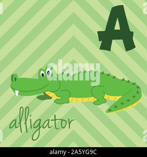 Cute cartoon Zoo illustrierte Alphabet mit lustigen Tieren: Eine für Alligator. Englische Alphabet. Lernen zu lesen. Isolierte Vector Illustration. Stock Vektor