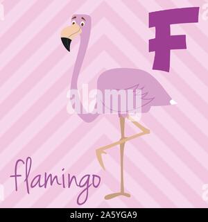 Cute cartoon Zoo illustrierte Alphabet mit lustigen Tieren: F für Flamingo. Englische Alphabet. Lernen zu lesen. Isolierte Vector Illustration. Stock Vektor