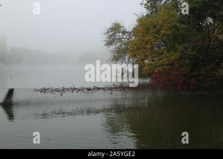 In den späten Herbst zu einem außerordentlich schönen See Stockfoto