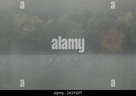 In den späten Herbst zu einem außerordentlich schönen See Stockfoto