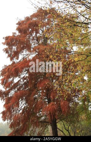 In den späten Herbst zu einem außerordentlich schönen See Stockfoto