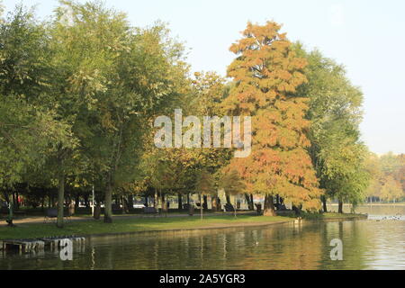 In den späten Herbst zu einem außerordentlich schönen See Stockfoto