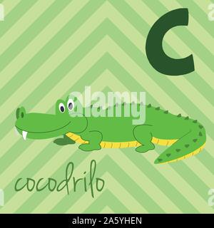 Cute cartoon Zoo illustrierte Alphabet mit lustigen Tieren. Spanische Alphabet: C für Cocodrilo. Lernen zu lesen. Isolierte Vector Illustration. Stock Vektor