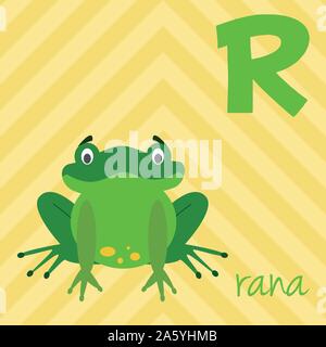 Cute cartoon Zoo illustrierte Alphabet mit lustigen Tieren. Spanische Alphabet: R für Rana. Lernen zu lesen. Isolierte Vector Illustration. Stock Vektor